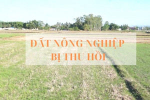 Từ ngày 1/8, đất nông nghiệp bỏ hoang sẽ bị Nhà nước thu hồi