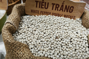 Giá tiêu hôm nay 23/7: tăng mạnh trở lại, trong nước chinh phục mốc 150.000 đồng/kg