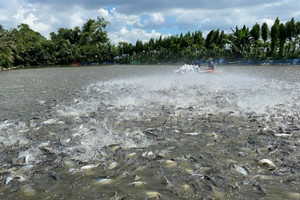 Việt Nam sở hữu 'kho báu dưới nước' được 2/3 thế giới săn đón, thu về gần 2 tỷ đô trong năm ngoái: Mỹ, Trung Quốc 'chốt đơn' nhiều nhất