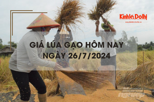 Giá lúa gạo hôm nay 26/7/2024: giá lúa tăng giảm trái chiều