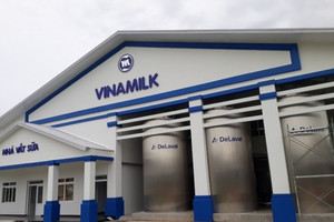 Vinamilk (VNM) báo doanh thu quý cao kỷ lục, thị trường nước ngoài tăng trưởng 37%