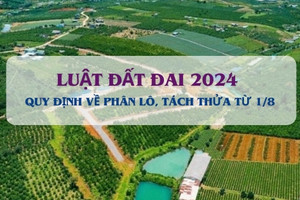 Từ 1/8, việc phân lô tách thửa cần chú ý điều gì?