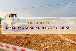 Từ tháng 8, đất không xong nghĩa vụ tài chính sẽ bị Nhà nước thu hồi