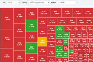 VN-Index 'bay' 20 điểm, cổ phiếu ngân hàng chìm trong sắc đỏ: Cơ hội nào cho nhà đầu tư?