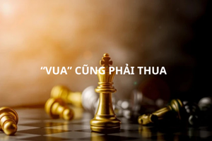 Nhà đầu tư 'đẫm lệ' với thị trường chứng khoán: Cổ phiếu 'vua' cũng phải thua