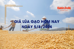 Giá lúa gạo hôm nay 5/8/2024: giá gạo xuất khẩu neo ở mức thấp