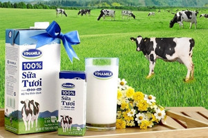 Vinamilk (VNM) sẽ được hưởng lợi từ con sóng nâng hạng thị trường chứng khoán