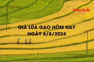 Giá lúa gạo hôm nay 6/8/2024: Giá gạo tăng nhẹ