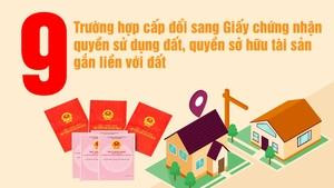 Infographics: 9 trường hợp cấp đổi "Sổ đỏ" từ 1/8