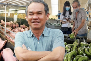 ' Chân ái' heo ăn chuối của bầu Đức đắt hàng, nhưng cổ phiếu HAG nằm sàn vì 'ế khách'