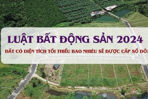 Đất có diện tích tối thiểu bao nhiêu sẽ được cấp sổ đỏ?