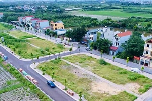 Đất Thanh Oai, Hà Nội đấu giá tăng sốc lên hơn 100 triệu/m2, rao bán chênh ngay nửa tỷ