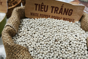 Giá tiêu hôm nay 13/8: giảm tới 5.000 đồng/kg ngay đầu tuần, vì sao?