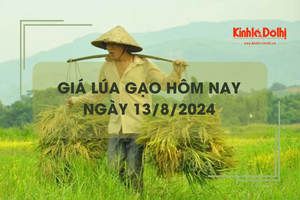 Giá lúa gạo hôm nay 13/8: giá gạo tăng nhẹ