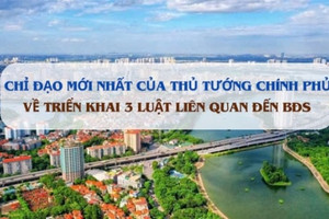 Chỉ đạo mới nhất của Thủ tướng Chính phủ về triển khai 3 luật liên quan đến bất động sản