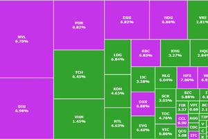 Cổ phiếu DIG tăng trần sau biến động, nhóm bất động sản hút gần 4.800 tỷ trong phiên