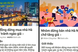 Hai group "dừng mua tránh ngáo giá" và "dừng bán nhà" tranh cãi nảy lửa về giá nhà đất