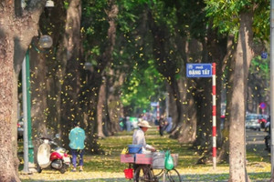 Những tuyến đường phố mang tên cha - con, ông - cháu giữa lòng Thủ đô, người Hà Nội chưa chắc đã biết