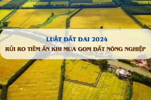 Mua gom đất nông nghiệp tiềm ẩn những rủi ro gì?