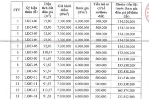 Ngày mai (19/8), hơn 700 hồ sơ tham gia đấu giá đất tại huyện Hoài Đức