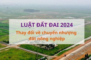 Từ tháng 8, chuyển nhượng đất nông nghiệp có 2 thay đổi lớn