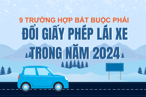 9 trường hợp bắt buộc phải đổi giấy phép lái xe trong năm 2024