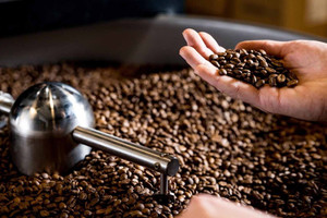 Giá cà phê hôm nay 21/8: Robusta tăng mạnh, lập đỉnh cao lịch sử