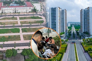 Tiềm ẩn mối lo về giá chung cư, dự án thấp tầng khi đất đấu giá vùng ven liên tiếp lập kỷ lục