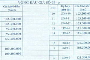 Giá đất gây sốc, chuyên gia lo ngại về tính bền vững của thị trường bất động sản