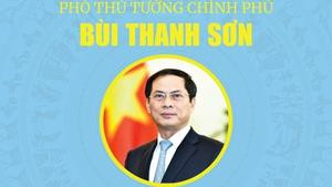 INFOGRAPHICS: Tóm tắt tiểu sử Tân Phó Thủ tướng Chính phủ Bùi Thanh Sơn