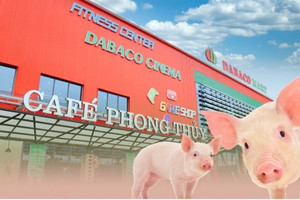 Dabaco (DBC) lên phương án xử lý 2,79 triệu cổ phiếu 'ế' chưa phân phối hết