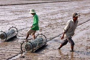 ‘Kho vàng’ chục triệu tấn bị vùi trong bùn vì thói quen xấu