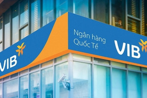 VIB có 4.205 tỷ đồng nợ khả năng mất vốn