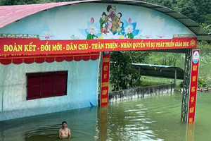 Hiệu trưởng bơi vào trường: Lo 1 tấn gạo ăn của học sinh bị nước nhấn chìm