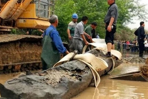 Lão nông ‘vớt’ được khúc gỗ đen xì có mùi thơm lạ bên ven sông: Lộ diện ‘thần mộc’ ngàn năm tuổi cực quý hiếm giá gần 1.800 tỷ