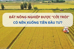 Luật mới 'cởi trói' cho đất nông nghiệp, nhà đầu tư có nên xuống tiền?