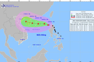 Đề nghị Trung Quốc và Philippines hỗ trợ tàu thuyền Việt Nam tránh bão số 3