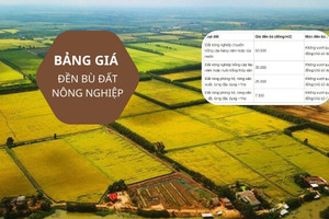 Bảng giá đền bù đất nông nghiệp năm 2024 mới nhất