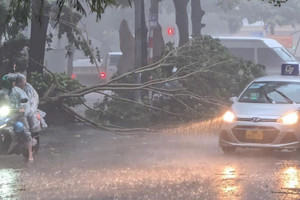 Ảnh hưởng bão Yagi, Hà Nội mưa giông lớn, cây đổ ngổn ngang, 3 người thương vong