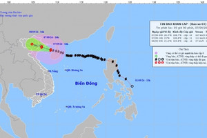 Bão số chuẩn bị vào đất liền, chuyên gia cảnh báo Hà Nội có gió giật mạnh