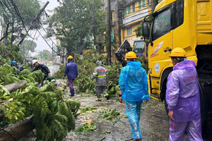 Sóng di động, thông tin liên lạc sẽ khôi phục ngay trong ngày 8/9