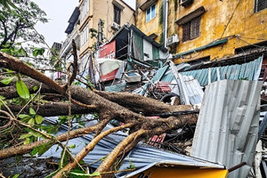 'Năm nay 72 tuổi, ở Hà Nội tôi chưa trải qua cơn bão nào dữ dội đến thế'