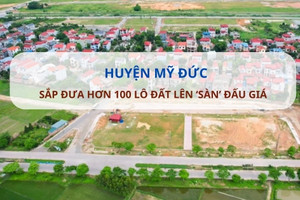 Huyện Mỹ Đức tiếp tục đưa hơn 100 lô đất 'lên sàn', giá khởi điểm chỉ hơn 3,5 triệu đồng/m2