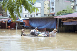 Chuyên gia chia sẻ cách phòng ngừa bệnh do vi khuẩn, ký sinh trùng trong mùa mưa lũ