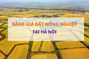 Từ ngày 20/9, Hà Nội áp dụng bảng giá đất nông nghiệp mới