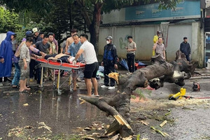 Tổng Liên đoàn Lao động Việt Nam đề nghị hỗ trợ từ 1 đến 10 triệu đồng cho người lao động bị ảnh hưởng bởi bão Yagi