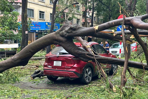 Số tiền bảo hiểm chi trả bồi thường cho các thiệt hại do bão số 3 và lũ lụt đã lên tới 7.000 tỷ đồng