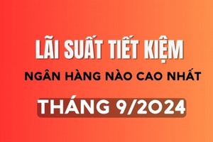 Ngân hàng nào có lãi suất tiết kiệm cao nhất tháng 9/2024?