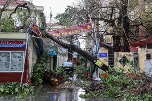 Hải Phòng, Quảng Ninh đã thoát cảnh trắng sóng di động sau bão Yagi