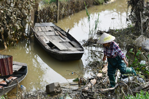 Tan hoang trên bãi giữa sông Hồng